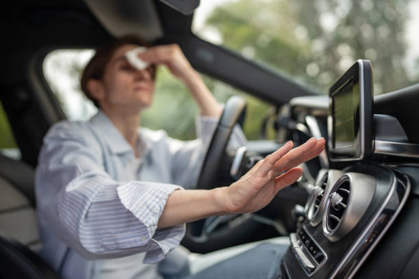Best Affordable Air Conditioning Repair  in Ina, IL