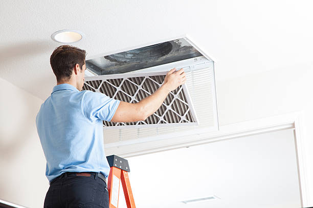 Best Air Quality Test  in Ina, IL